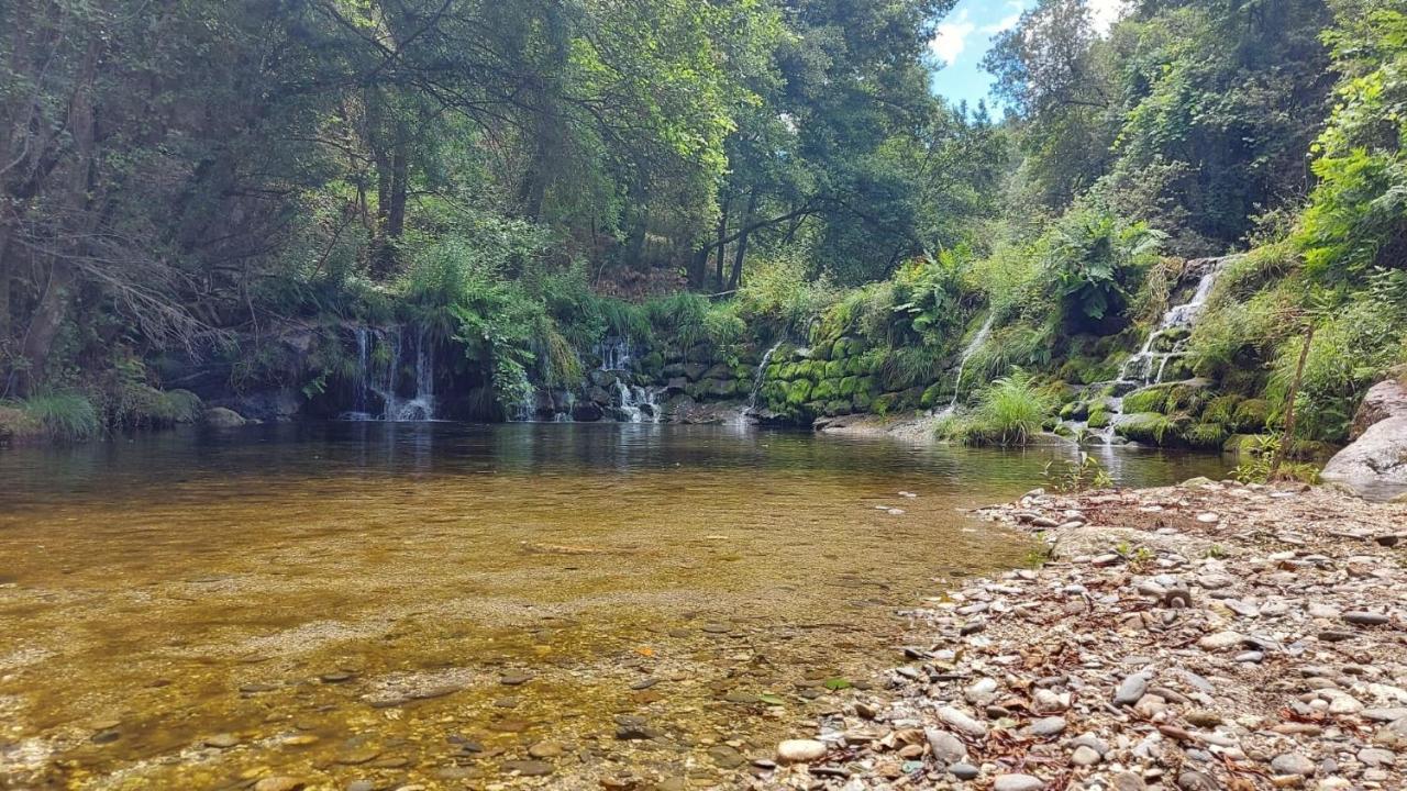 Sitio Dos Cogumelos Alojamentos Amarante Esterno foto